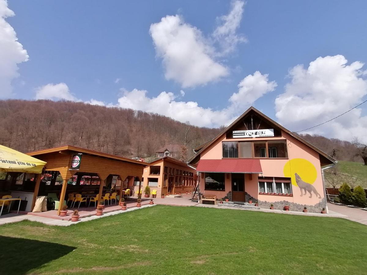 Pensiunea Colt Alb Băile Homorod Exterior foto